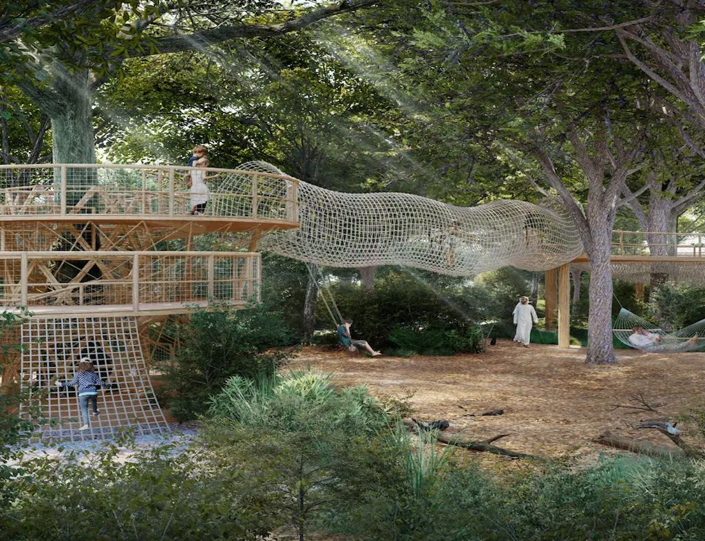 Timber treetop walkway among mature trees in the Masaar woodland belt