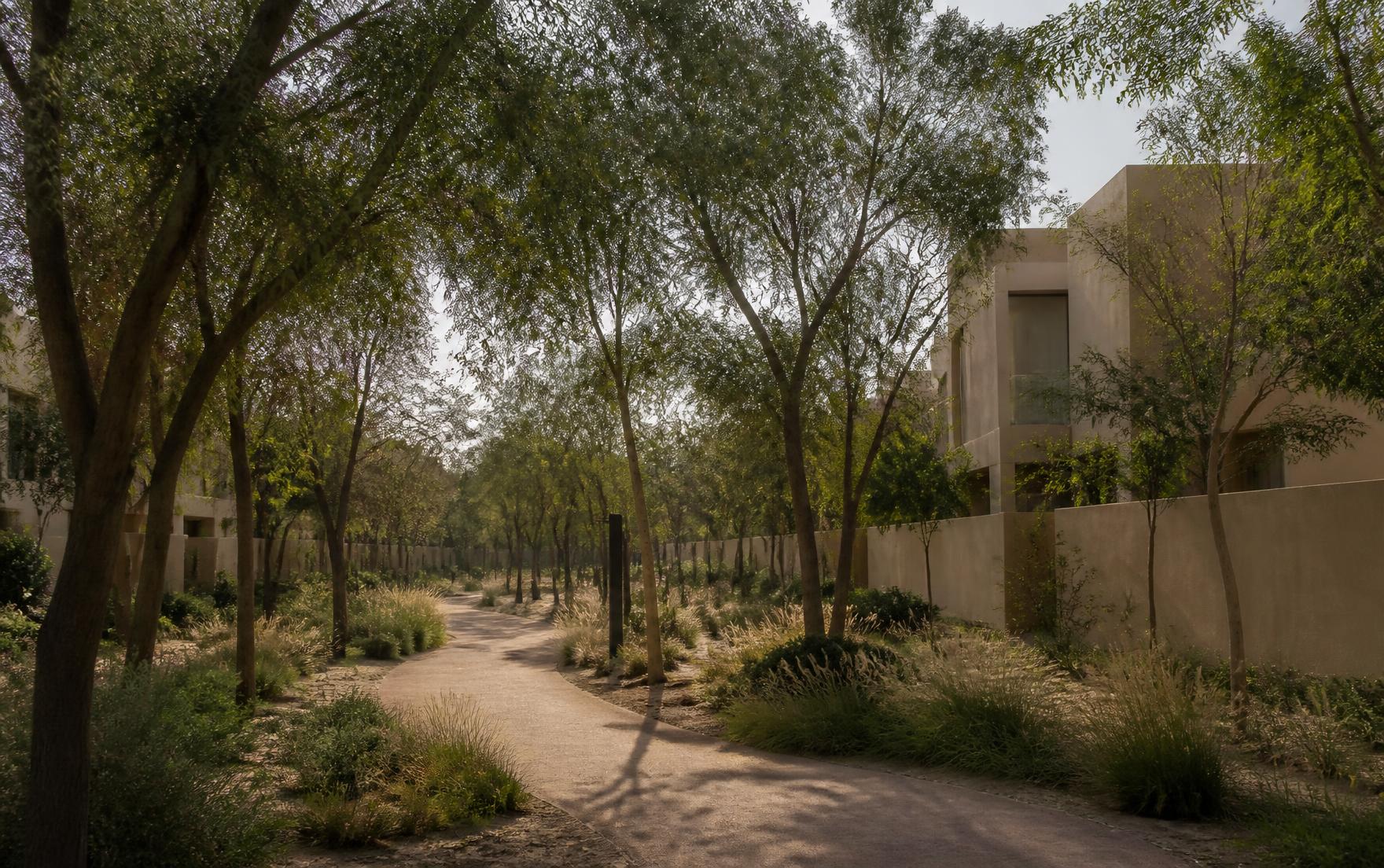 Shaded woodland path between villas in Masaar, Sharjah